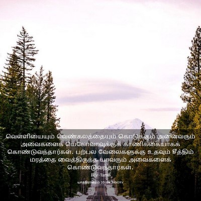 Picture 03 - யாத்திராகமம் 35:24 TAMIRV - வெள்ளியையும் - Bible Verse Picture