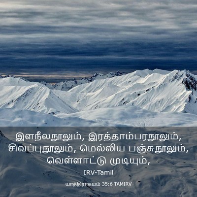 Picture 03 - யாத்திராகமம் 35:6 TAMIRV - இளநீலநூலும், - Bible Verse Picture