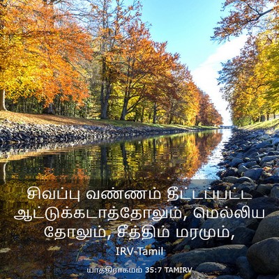 Picture 03 - யாத்திராகமம் 35:7 TAMIRV - சிவப்பு வண்ணம் - Bible Verse Picture