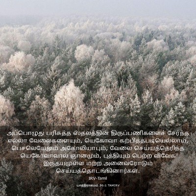 Picture 03 - யாத்திராகமம் 36:1 TAMIRV - அப்பொழுது - Bible Verse Picture