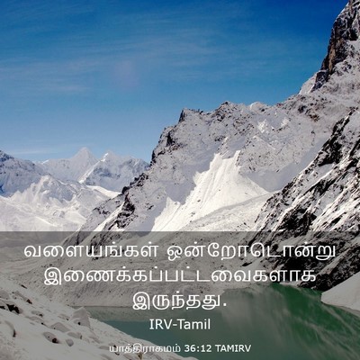 Picture 03 - யாத்திராகமம் 36:12 TAMIRV - வளையங்கள் - Bible Verse Picture