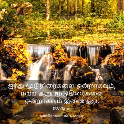 Picture 03 - யாத்திராகமம் 36:16 TAMIRV - ஐந்து மூடுதிரைகளை - Bible Verse Picture