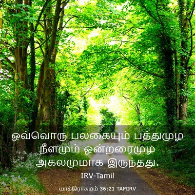 Picture 03 - யாத்திராகமம் 36:21 TAMIRV - ஒவ்வொரு பலகையும் - Bible Verse Picture