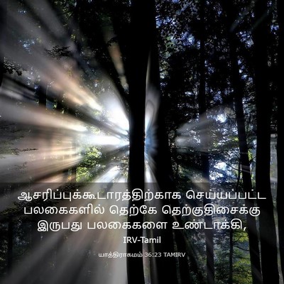 Picture 03 - யாத்திராகமம் 36:23 TAMIRV -  - Bible Verse Picture