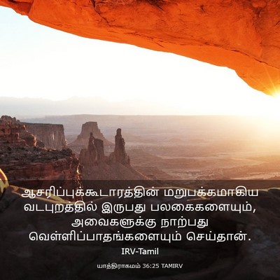 Picture 03 - யாத்திராகமம் 36:25 TAMIRV -  - Bible Verse Picture