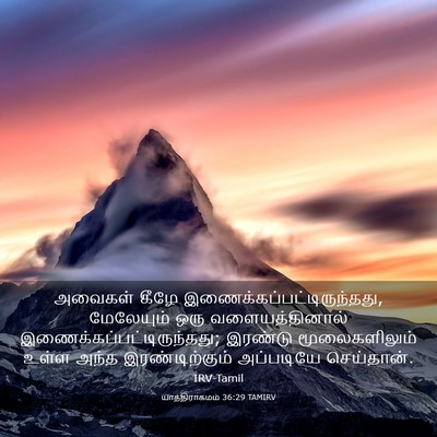 Picture 03 - யாத்திராகமம் 36:29 TAMIRV - அவைகள் கீழே - Bible Verse Picture
