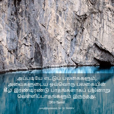 Picture 03 - யாத்திராகமம் 36:30 TAMIRV - அப்படியே எட்டுப் - Bible Verse Picture
