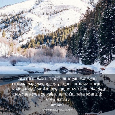 Picture 03 - யாத்திராகமம் 36:32 TAMIRV -  - Bible Verse Picture