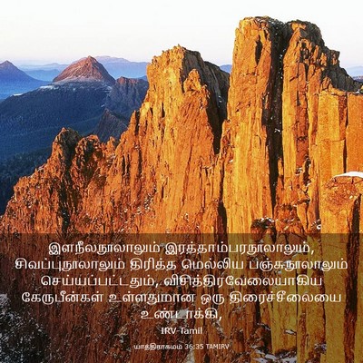 Picture 03 - யாத்திராகமம் 36:35 TAMIRV - இளநீலநூலாலும் - Bible Verse Picture