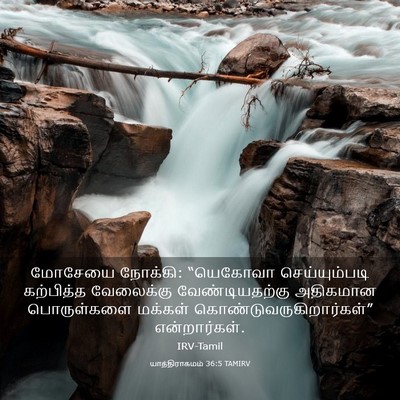 Picture 03 - யாத்திராகமம் 36:5 TAMIRV - மோசேயை நோக்கி: - Bible Verse Picture