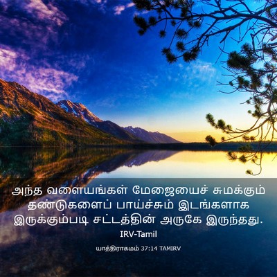 Picture 03 - யாத்திராகமம் 37:14 TAMIRV - அந்த வளையங்கள் - Bible Verse Picture