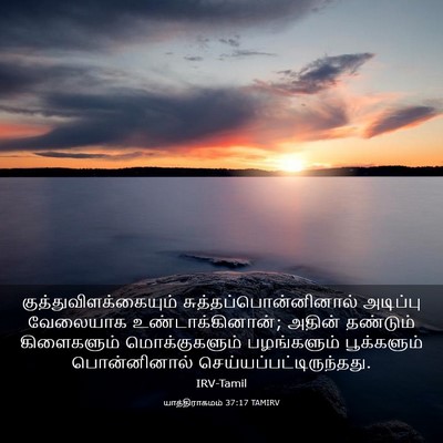 Picture 03 - யாத்திராகமம் 37:17 TAMIRV -  - Bible Verse Picture