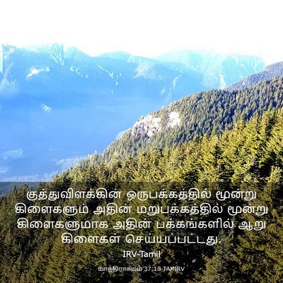 Picture 03 - யாத்திராகமம் 37:18 TAMIRV - குத்துவிளக்கின் - Bible Verse Picture