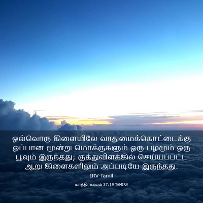 Picture 03 - யாத்திராகமம் 37:19 TAMIRV - ஒவ்வொரு கிளையிலே - Bible Verse Picture