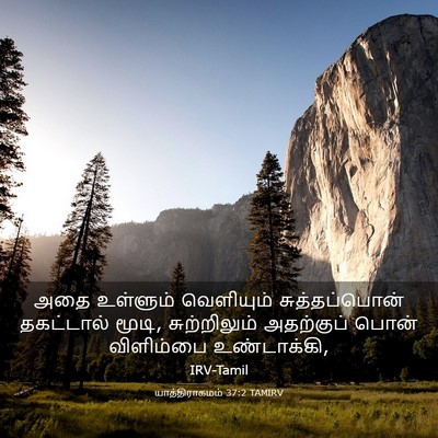 Picture 03 - யாத்திராகமம் 37:2 TAMIRV - அதை உள்ளும் - Bible Verse Picture