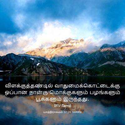 Picture 03 - யாத்திராகமம் 37:20 TAMIRV - விளக்குத்தண்டில் - Bible Verse Picture