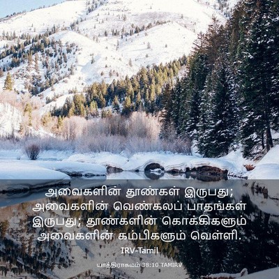 Picture 03 - யாத்திராகமம் 38:10 TAMIRV - அவைகளின் தூண்கள் - Bible Verse Picture