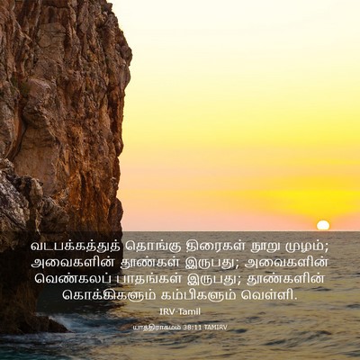 Picture 03 - யாத்திராகமம் 38:11 TAMIRV - வடபக்கத்துத் - Bible Verse Picture