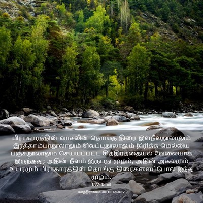 Picture 03 - யாத்திராகமம் 38:18 TAMIRV - பிராகாரத்தின் - Bible Verse Picture