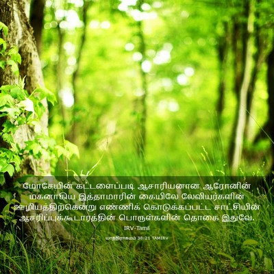 Picture 03 - யாத்திராகமம் 38:21 TAMIRV - மோசேயின் - Bible Verse Picture