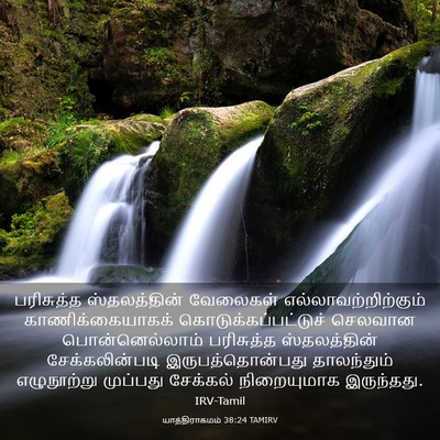Picture 03 - யாத்திராகமம் 38:24 TAMIRV - பரிசுத்த - Bible Verse Picture