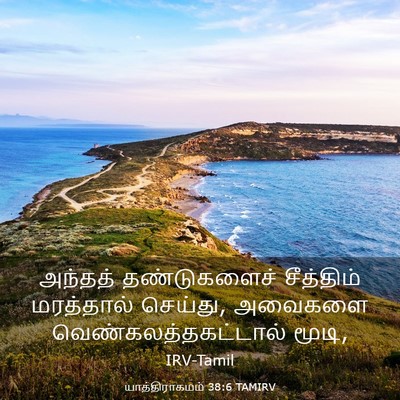 Picture 03 - யாத்திராகமம் 38:6 TAMIRV - அந்தத் தண்டுகளைச் - Bible Verse Picture