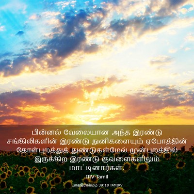 Picture 03 - யாத்திராகமம் 39:18 TAMIRV - பின்னல் வேலையான - Bible Verse Picture
