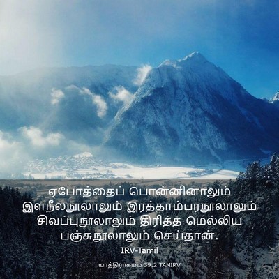 Picture 03 - யாத்திராகமம் 39:2 TAMIRV - ஏபோத்தைப் - Bible Verse Picture