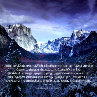 Picture 03 - யாத்திராகமம் 39:21 TAMIRV - மார்ப்பதக்கம் - Bible Verse Picture