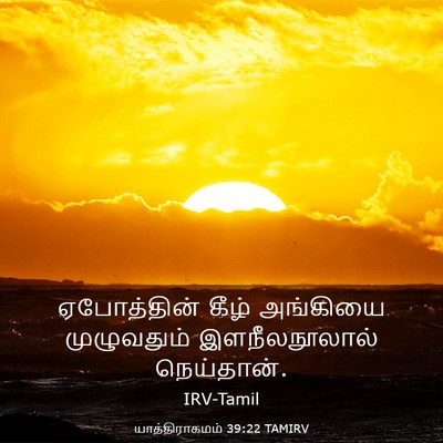 Picture 03 - யாத்திராகமம் 39:22 TAMIRV - ஏபோத்தின் கீழ் - Bible Verse Picture