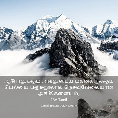 Picture 03 - யாத்திராகமம் 39:27 TAMIRV - ஆரோனுக்கும் - Bible Verse Picture
