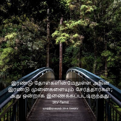 Picture 03 - யாத்திராகமம் 39:4 TAMIRV - இரண்டு - Bible Verse Picture