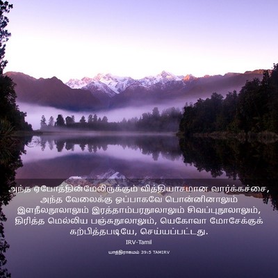 Picture 03 - யாத்திராகமம் 39:5 TAMIRV - அந்த - Bible Verse Picture