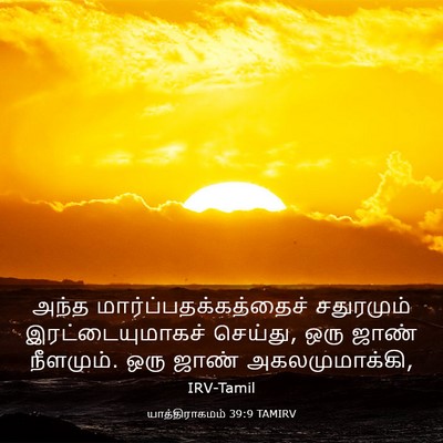 Picture 03 - யாத்திராகமம் 39:9 TAMIRV - அந்த - Bible Verse Picture