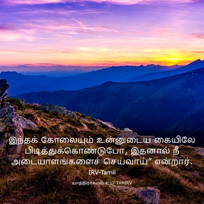 Picture 03 - யாத்திராகமம் 4:17 TAMIRV - இந்தக் கோலையும் - Bible Verse Picture
