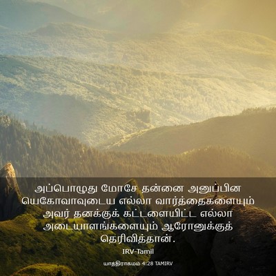 Picture 03 - யாத்திராகமம் 4:28 TAMIRV - அப்பொழுது மோசே - Bible Verse Picture