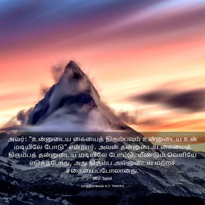Picture 03 - யாத்திராகமம் 4:7 TAMIRV - அவர்: “உன்னுடைய - Bible Verse Picture