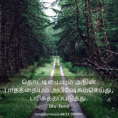 Picture 03 - யாத்திராகமம் 40:11 TAMIRV - தொட்டியையும் - Bible Verse Picture