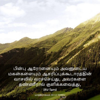 Picture 03 - யாத்திராகமம் 40:12 TAMIRV - பின்பு ஆரோனையும் - Bible Verse Picture