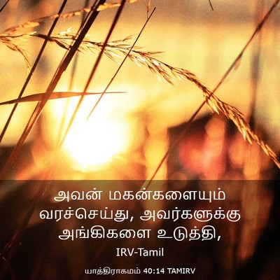 Picture 03 - யாத்திராகமம் 40:14 TAMIRV - அவன் மகன்களையும் - Bible Verse Picture
