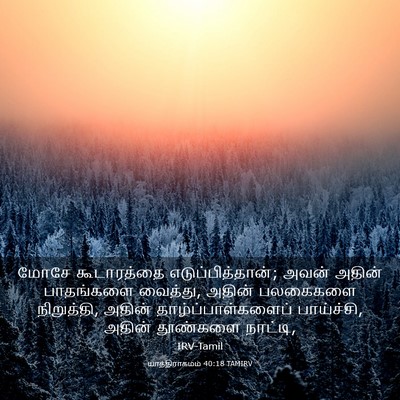 Picture 03 - யாத்திராகமம் 40:18 TAMIRV - மோசே கூடாரத்தை - Bible Verse Picture