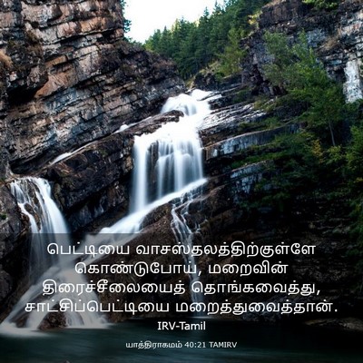 Picture 03 - யாத்திராகமம் 40:21 TAMIRV - பெட்டியை - Bible Verse Picture