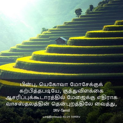 Picture 03 - யாத்திராகமம் 40:24 TAMIRV - பின்பு, யெகோவா - Bible Verse Picture
