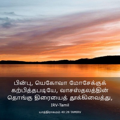 Picture 03 - யாத்திராகமம் 40:28 TAMIRV - பின்பு, யெகோவா - Bible Verse Picture