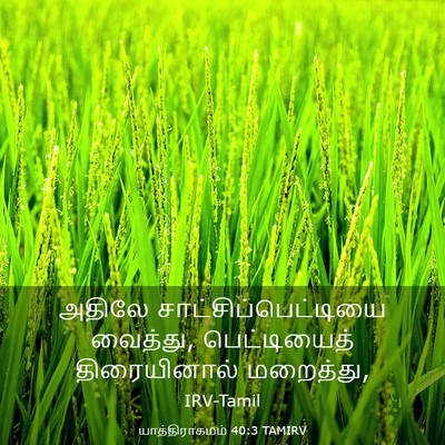 Picture 03 - யாத்திராகமம் 40:3 TAMIRV - அதிலே - Bible Verse Picture