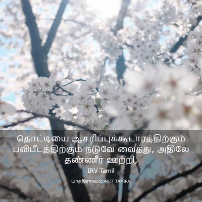 Picture 03 - யாத்திராகமம் 40:7 TAMIRV - தொட்டியை - Bible Verse Picture