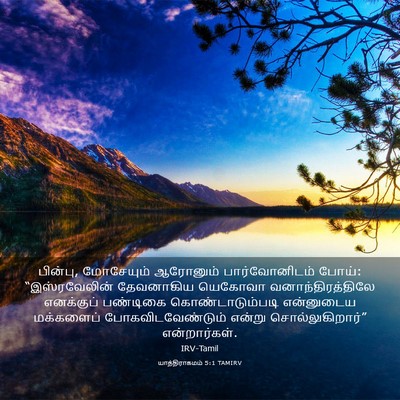 Picture 03 - யாத்திராகமம் 5:1 TAMIRV - பின்பு, மோசேயும் - Bible Verse Picture
