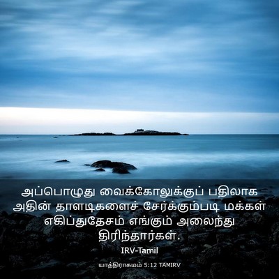 Picture 03 - யாத்திராகமம் 5:12 TAMIRV - அப்பொழுது - Bible Verse Picture
