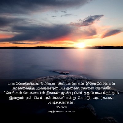 Picture 03 - யாத்திராகமம் 5:14 TAMIRV - பார்வோனுடைய - Bible Verse Picture