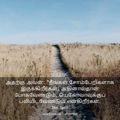 Picture 03 - யாத்திராகமம் 5:17 TAMIRV - அதற்கு அவன்: - Bible Verse Picture